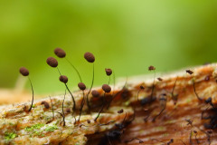 08_0906_12721