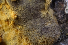 11_0911_14572
