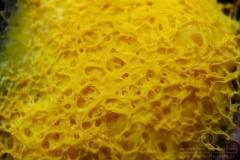 05_0906_12957