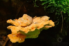 0806_09600