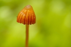 0806_09852