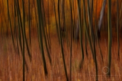 131023_07519