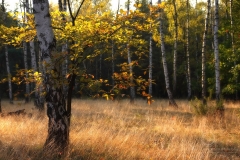 141004_10496