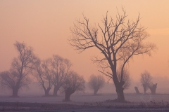 190120_24681