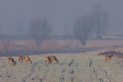 190120_24827