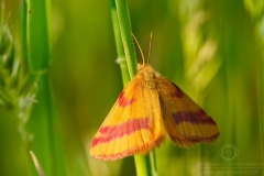 0706_06572