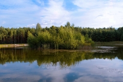 0708_06975_pan