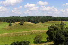 0708_07132_pan
