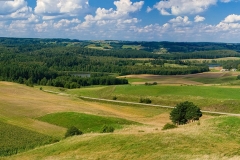 0708_07162_pan