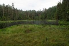 0806_09831_pan