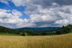 0807_10180_pan