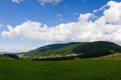 0707_10193_pan