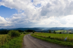 0807_10210_pan