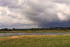 0907_13269_pan