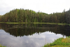 1005_15295_pan