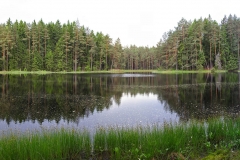 1005_15307_pan