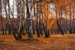 111109_21834