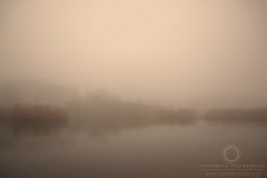 140118_08591