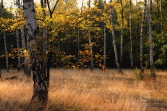 141004_10496