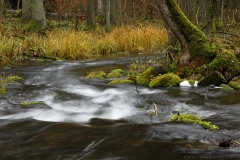 Kamionka Wigierski Park Narodowy 141111_11088