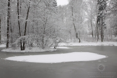 Źródlisko Bzury 150125_11168