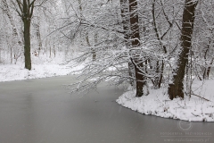 Źródlisko Bzury 150125_11171