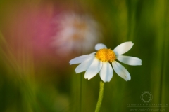 0706_06577