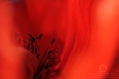 0806_09337