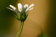 110430_17747