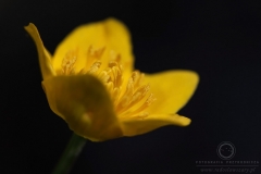 130505_06556